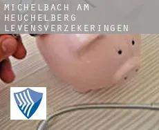 Michelbach am Heuchelberg  levensverzekeringen