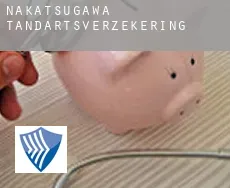 Nakatsugawa  tandartsverzekering