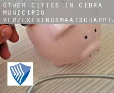 Other cities in Cidra Municipio  verzekeringsmaatschappij