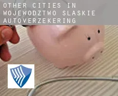 Other cities in Wojewodztwo Slaskie  autoverzekering