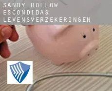 Sandy Hollow-Escondidas  levensverzekeringen