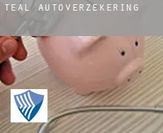 Teal  autoverzekering