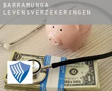 Barramunga  levensverzekeringen