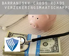 Barranisky Cross Roads  verzekeringsmaatschappij