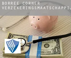Borree Corner  verzekeringsmaatschappij