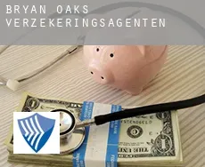 Bryan Oaks  verzekeringsagenten