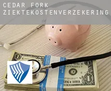 Cedar Fork  ziektekostenverzekering