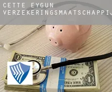 Cette-Eygun  verzekeringsmaatschappij