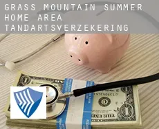 Grass Mountain Summer Home Area  tandartsverzekering