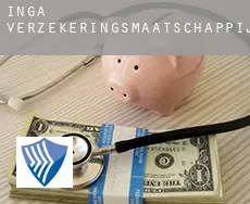 Ingá  verzekeringsmaatschappij