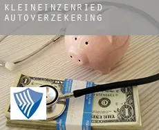 Kleineinzenried  autoverzekering