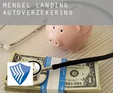 Mengel Landing  autoverzekering