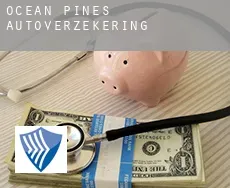 Ocean Pines  autoverzekering