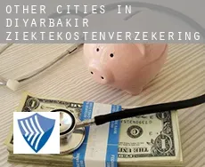 Other cities in Diyarbakir  ziektekostenverzekering