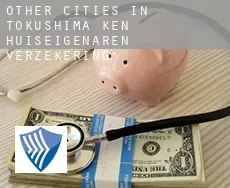 Other cities in Tokushima-ken  huiseigenaren verzekering