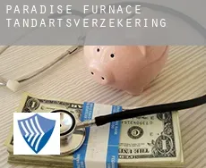 Paradise Furnace  tandartsverzekering