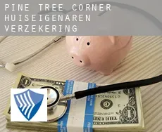 Pine Tree Corner  huiseigenaren verzekering