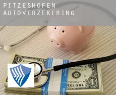 Pitzeshofen  autoverzekering