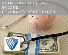 Saint-Barthélemy-Grozon  levensverzekeringen