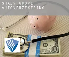 Shady Grove  autoverzekering