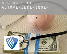 Spring Hill  autoverzekeringen