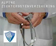 Alpine  ziektekostenverzekering
