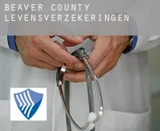 Beaver County  levensverzekeringen