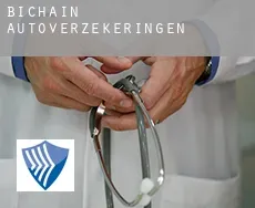 Bichain  autoverzekeringen