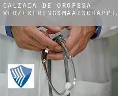 Calzada de Oropesa  verzekeringsmaatschappij