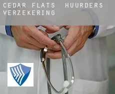 Cedar Flats  huurders verzekering