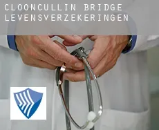 Clooncullin Bridge  levensverzekeringen