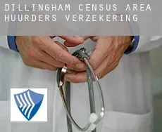 Dillingham Census Area  huurders verzekering
