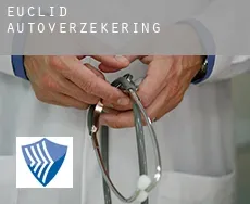 Euclid  autoverzekering