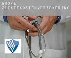 Grove  ziektekostenverzekering