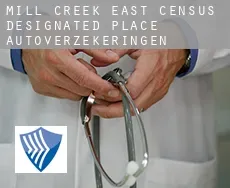 Mill Creek East  autoverzekeringen