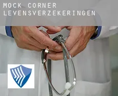Mock Corner  levensverzekeringen