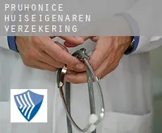 Průhonice  huiseigenaren verzekering