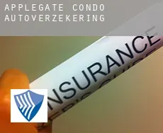 Applegate Condo  autoverzekering