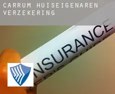 Carrum  huiseigenaren verzekering