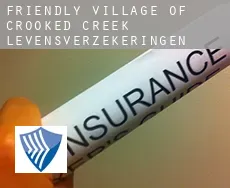 Friendly Village of Crooked Creek  levensverzekeringen