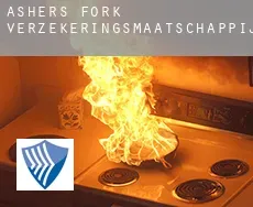 Ashers Fork  verzekeringsmaatschappij