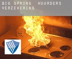 Big Spring  huurders verzekering