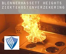 Blennerhassett Heights  ziektekostenverzekering