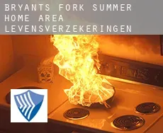 Bryants Fork Summer Home Area  levensverzekeringen