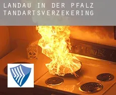 Landau in der Pfalz Stadt  tandartsverzekering