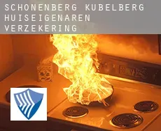 Schönenberg-Kübelberg  huiseigenaren verzekering