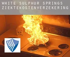 White Sulphur Springs  ziektekostenverzekering