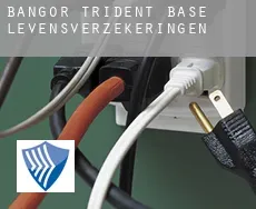 Bangor Trident Base  levensverzekeringen