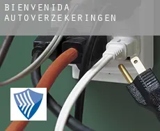 Bienvenida  autoverzekeringen