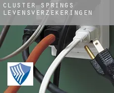 Cluster Springs  levensverzekeringen